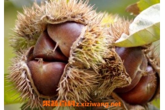 ���ڿǵĹ�Ч������