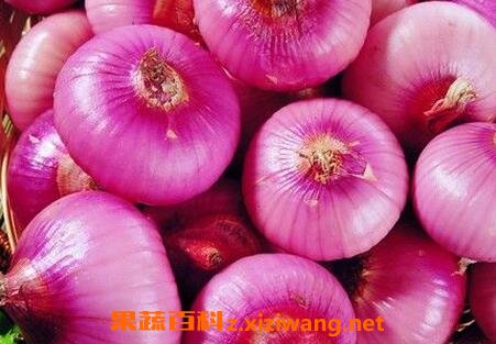 ԰�е�ҩ�ù�Ч������