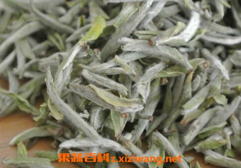 �׺������ĳ��ݱ���