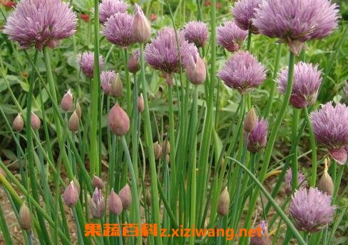 Բ����ϸ��е�����