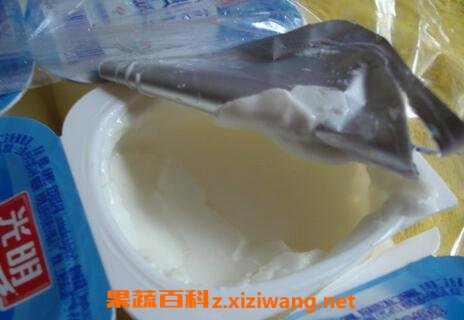 ����������ʲô��