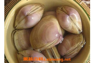�����ǵ�ҩ�ü�ֵ �����ǵ���;