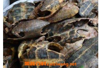 ���˵��ǵĹ�Ч������