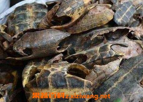 ���˵��ǵĹ�Ч������