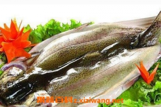 �����Ӫ����ֵ ������ĺô�