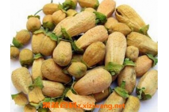 ���黨�Ĺ�Ч������ ���黨��ҩ�ü�ֵ