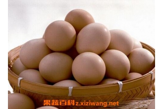 ��������Ӫ����ֵ��ʲô ���������ĺô�