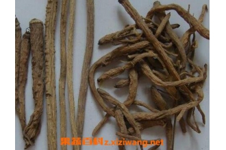 ��ҩ�������ζ�龭 ��Ч�����Լ�Ӧ��