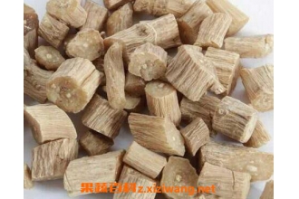 ��ҩ��ţϥ����ζ�龭 ��Ч���ü�Ӧ��