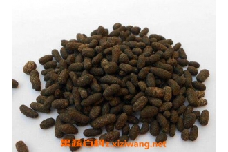 ��ҩ����֬��ζ�龭 ����֬�Ĺ�Ч���ü�Ӧ��