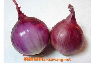 ��ɫ��еĹ�Ч������ ��ɫ�����Ԥ����֢