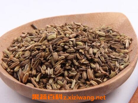 ��ҩС������ζ�龭 ��Ч���ü�Ӧ��