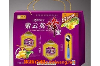 ����Ӣ���۵������빦Ч