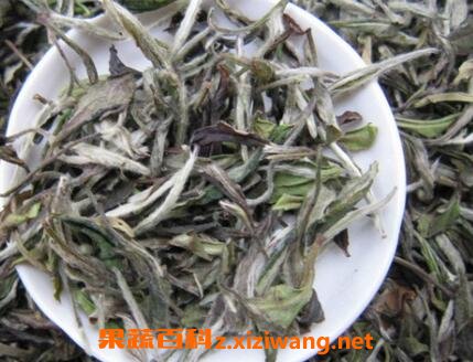 �׺�����Ͱ�ĵ��������