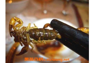 ȫЫ�Ĺ�Ч������ ȫЫ��ʳ�÷���������