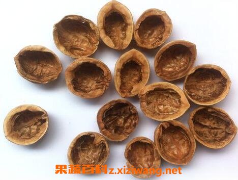 ����ҿǵĹ�Ч������