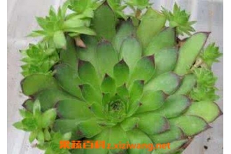 ����������ֳ ���������ֳ������ע������