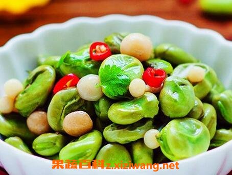 �϶��Ĺ�Ч������ �϶�������