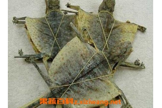 ���Ĺ�Ч������ ����ҩ�ü�ֵ