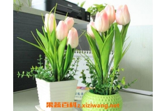 ����������������ֳ�� ���������ڵ���ֳ����