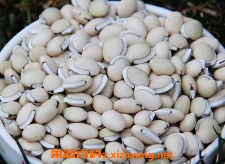 �ױⶹҩ�ü�ֵ