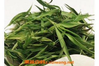 ����Ҷ��ˮ�ȵĹ�Ч�ͺô�