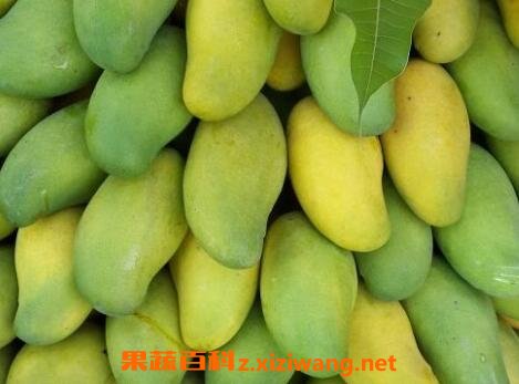 â����ô�����������