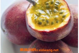 ������Ĺ�Ч�����ü�ʳ�÷���