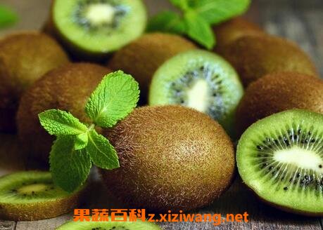 ⨺�����ô������� ⨺��Ҵ��췽��