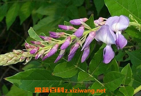  �𻨵������빦Ч������