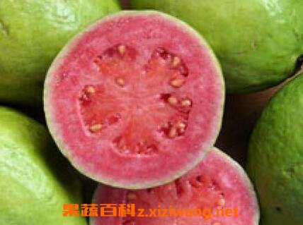 ������ֵ�Ӫ����ֵ