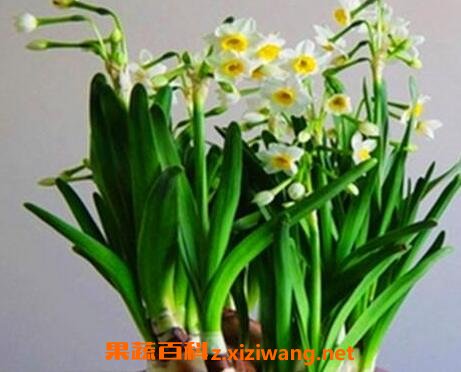 ˮ�ɻ�����ֳ������ע������