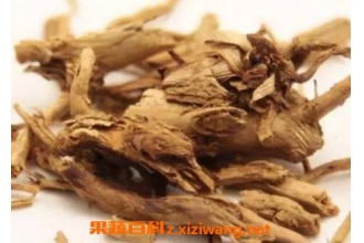 ޲���ʸ��Ĺ�Ч������