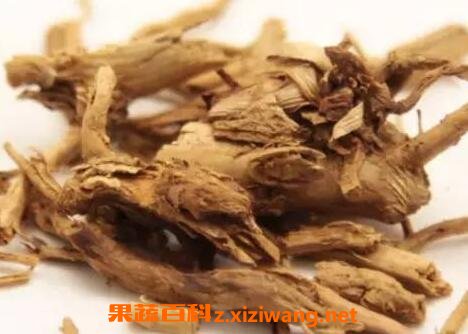 ޲���ʸ��Ĺ�Ч������