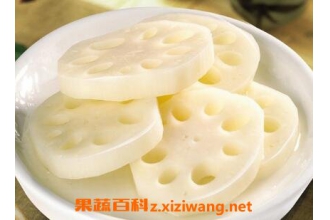 ź������ʲôһ��� ������