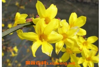 ӭ��������ֳ������ע������