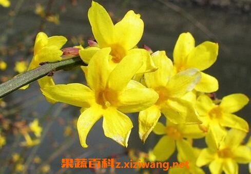  ӭ��������ֳ������ע������