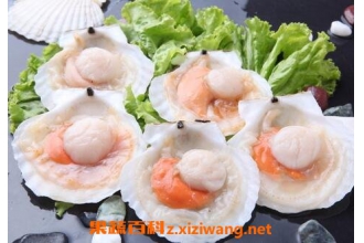 �ȱ����ܺ�ʲôһ�� �ȱ���ʲô���