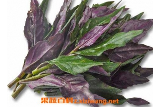 �ϱ��˵�Ӫ����ֵ �ϱ��˵�ʳ�÷���������