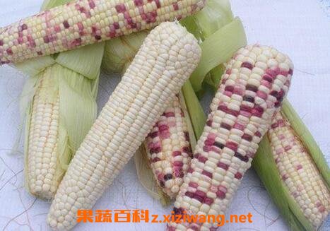 ճ���׵Ĺ�Ч������