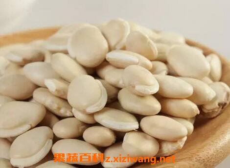 �ױⶹ�Ĺ�Ч�����ü�����