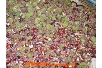 ������ǵĹ�Ч������