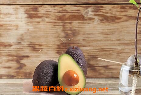ţ�͹��˵Ĺ�Ч������