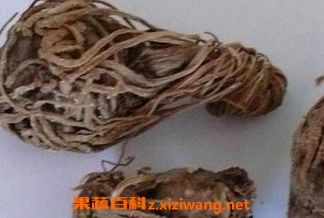 ���޲��Ĺ�Ч