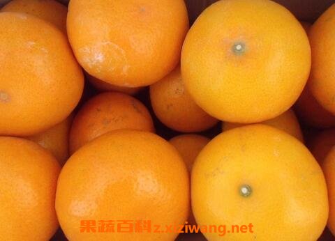 ��ï�ȸ̵ĺô�