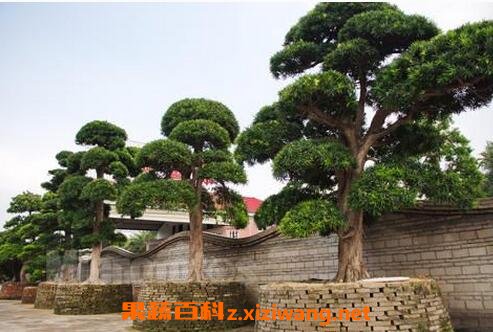 �޺�����Ӫ����ֵ��