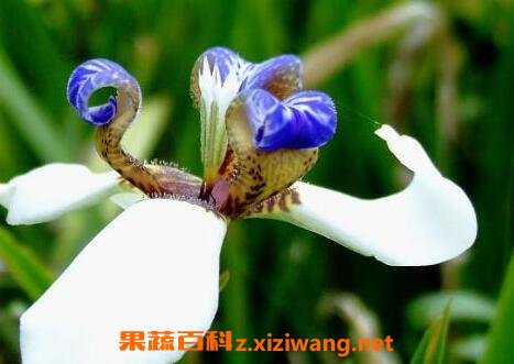 �β����ʵ��ҩ�ü�ֵ