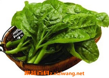 �������ʲôӪ����ֵ