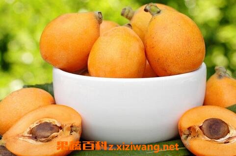 ���˵ı��淽�� ���˵ı��ʷ���