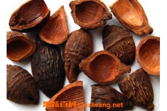 ��ҩ��Ƥ�Ĺ�Ч������